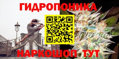 тгк Славянск-на-Кубани