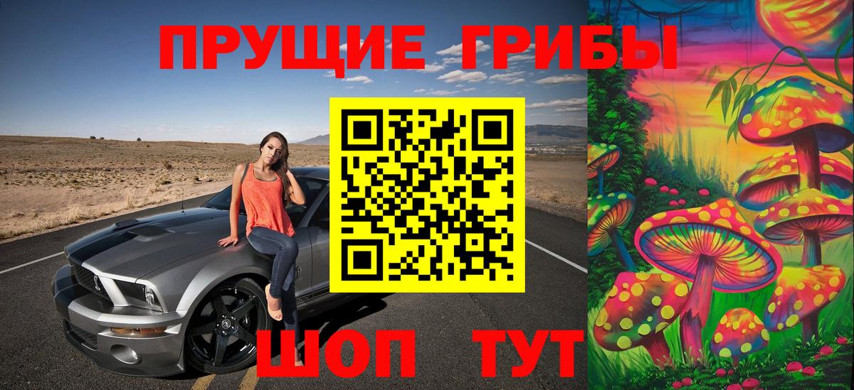 Оренбург  Псилоцибиновые грибы прущие грибы  наркотики  Вход с VPN 